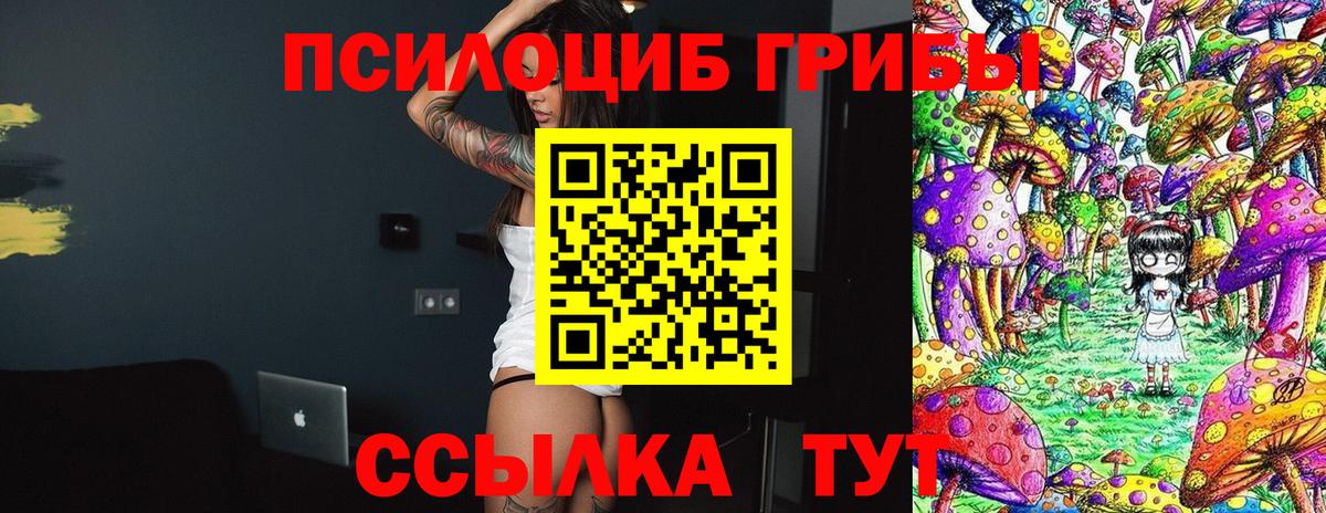 Галлюциногенные грибы Cubensis Удомля