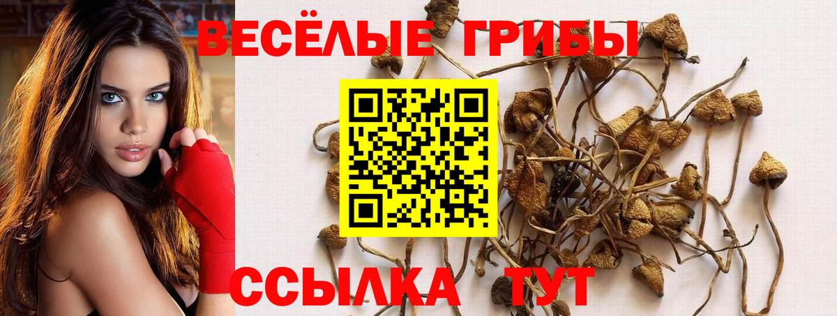 Псилоцибиновые грибы ЛСД  цена наркотик  Удомля  Псилоцибиновые грибы мицелий  Вход с VPN 